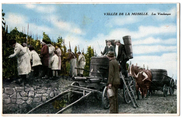 CPA 57 - Vallée de la Moselle (Moselle) - Les Vendanges