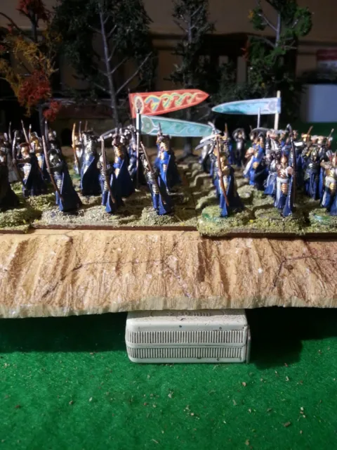 28mm Ancients painted LOTR / Fantasy Eleven Gondor Army x 76+