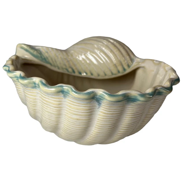 Nautilus Sea Shell Bowl Shoreline Collection Home Studio Hand Painted 7"