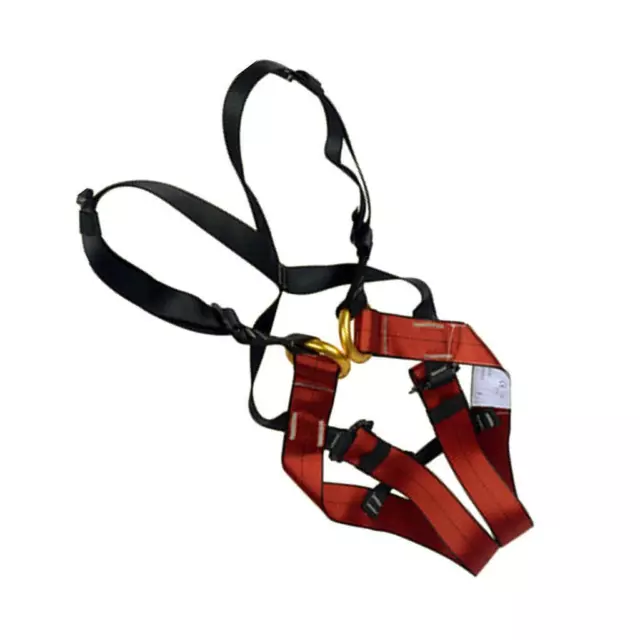 Kids Children Pro Safety Half Body Harness For Rock Climbing Mountaineering