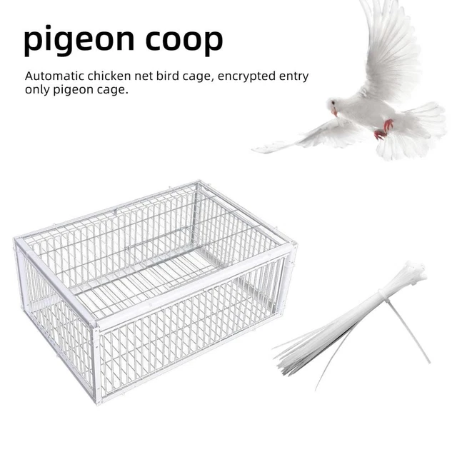 Piège à Pigeons, Oiseaux Domestiques 100x30x30 Cm Multi-catch, Pour Attraper Un Troupeau De Pigeons