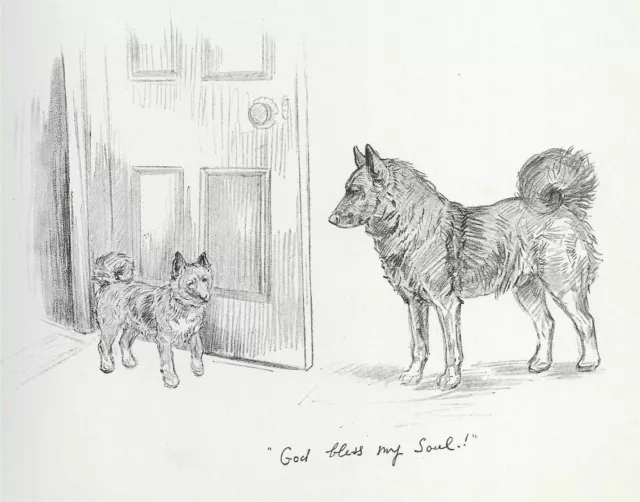 Norwegian Elkhound "Soul" - Vintage Dog Art Print - 1938 KF Barker DD