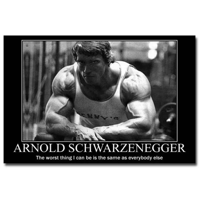 82487 Arnold Schwarzenegger Bodybuilding Fitness Wall Print Poster AU