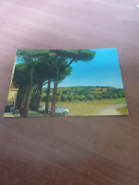 Cartolina Catanzaro Lido Pineta Casciolino Animata Vg 1967