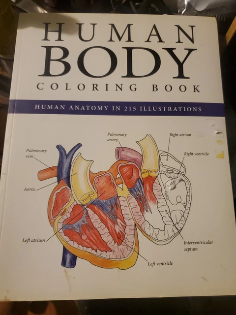 HUMAN BODY COLORING Book Human Anatomy in 215 Illustrations 2015 ...