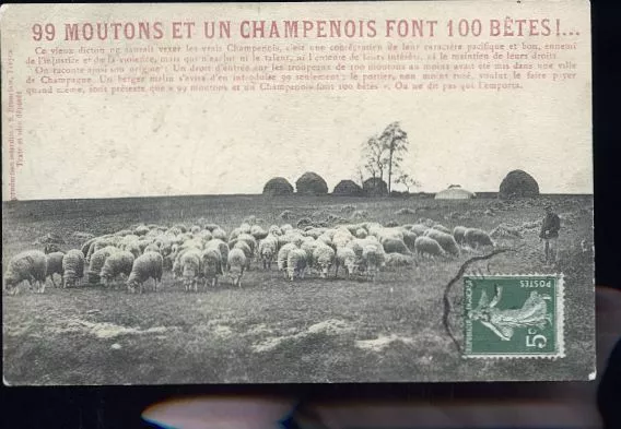 99 Moutons  Le Berger Et Les Moutons   400  Etc