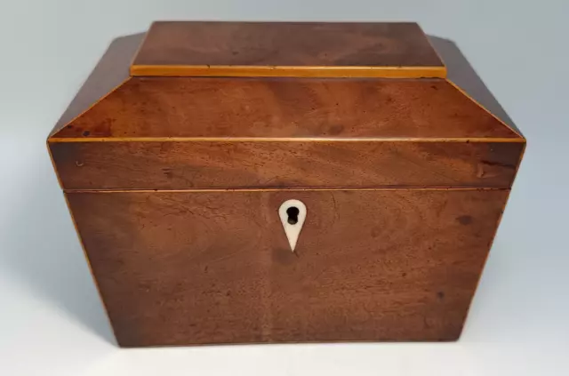 19th Century Wooden Sarcophagus Tea Caddy storage Box With Inner Lids. No Key