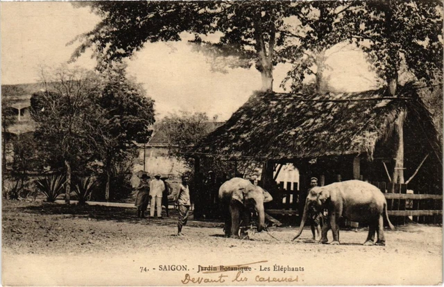 CPA AK Vietnam Les Elephants Saigon INDOCHINA (1284008)