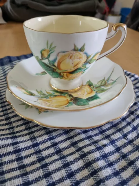 Fashion Roses"Mitzi" ROSLYN Fine Bone China No 2 tea set trio