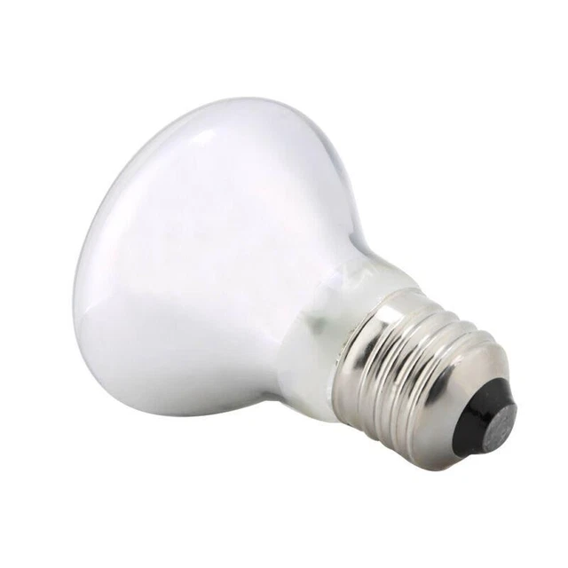 50W Reptile Heat Light Bulb for Tortoise Basking - Night Heat Lamp