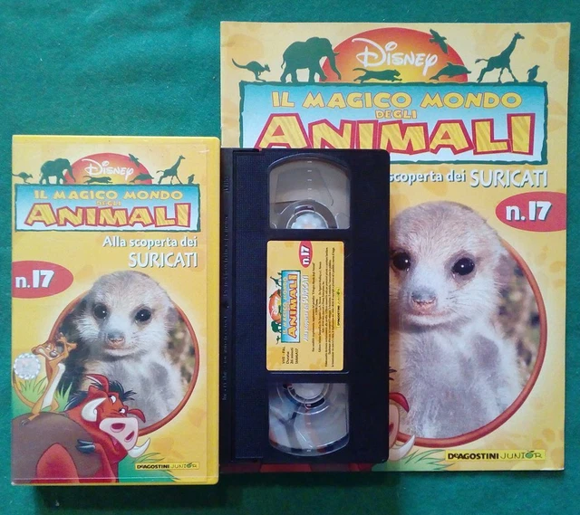 VHS FILM ITA Disney Magico Mondo Degli Animali N.17 Suricati + Fascicolo (V80) £13.00 PicClick UK VHS FILM ITA Disney Magico Mondo Degli Animali N.17 Suricati + Fascicolo (V80) £13.00 PicClick UK