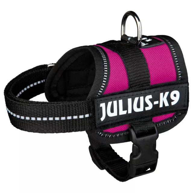 Julius-K9 Chiens Plats Electriques Fuchsia,Différentes Tailles,Neuf