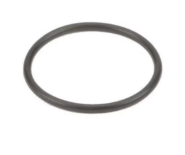 LST100-G Banjo EPDM Gasket For ¾" & 1" Poly T Strainer