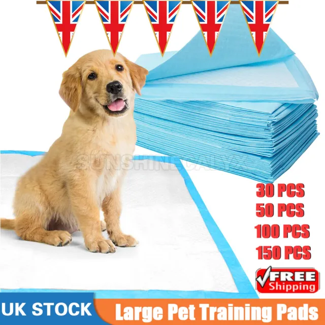 50/100/200 Extra Large Pet Training Pads Puppy Pee Wee Dog Cat Mat Absorbent UK