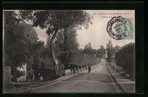 CPA La Queue-en-Brie, Allées des Tillauls