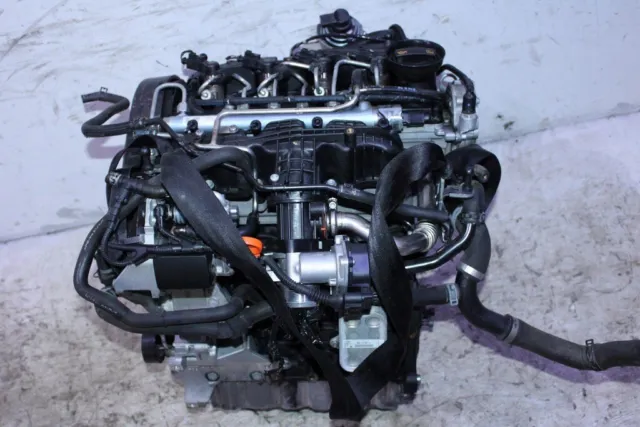 Motor Moteur Engine AUDI SEAT SKODA VW 1.6TDI CAY CAYC CAYD 100000km Garantie