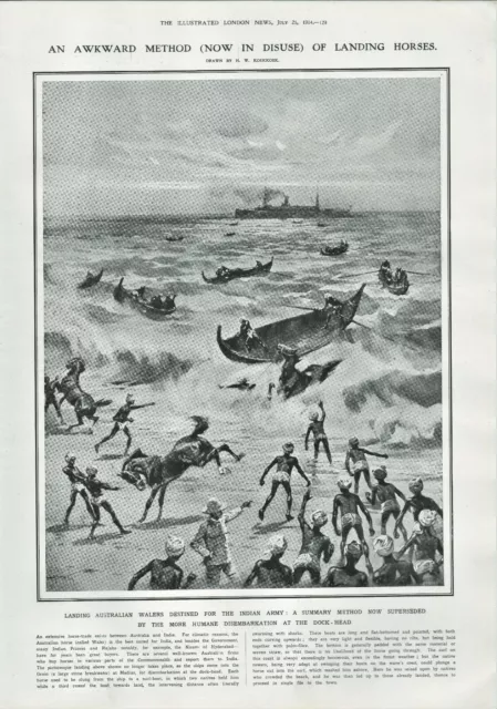 Antique B&W Illustrated Print Landing Australian Horses For Indian Army 1914