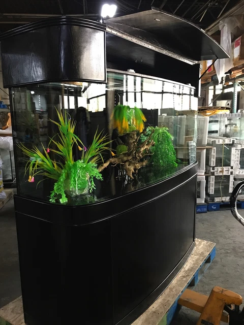 215G Reef Ready Seamless Bow Front Glass Aquarium Wood Furniture 5-Year Warranty