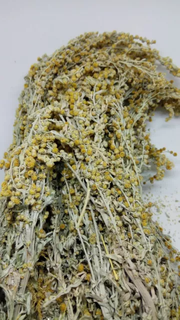 Wormwood . Artemisia absinthium .wild .Organic. dried tea .herb