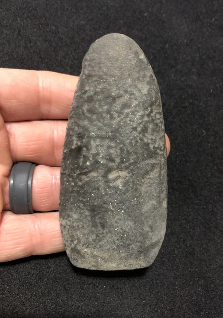 QUALITY HARDSTONE POLE CELT- PA Indian Artifact-NY Arrowhead-BURLINGTON NJ 2