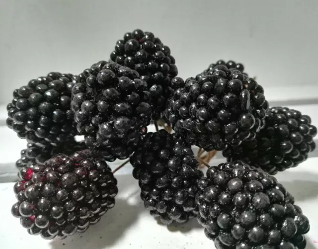 12 Brombeeren schwarz Attrappen Dekoration Kunstobst Obst Draht Dekoobst Beeren 3