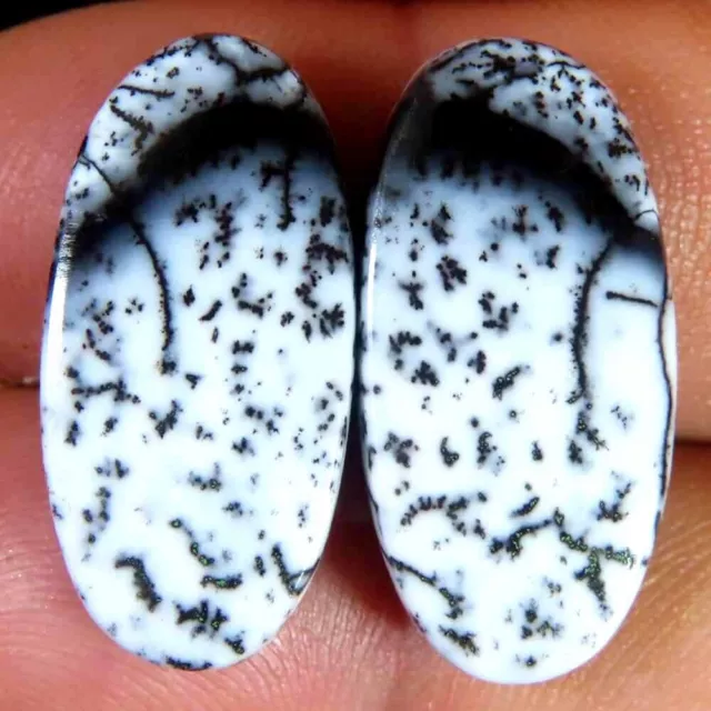 19.10Cts.100%Natural Designer Dendrite Opal Oval Pair Cab 11x23x4mm Top Gemstone