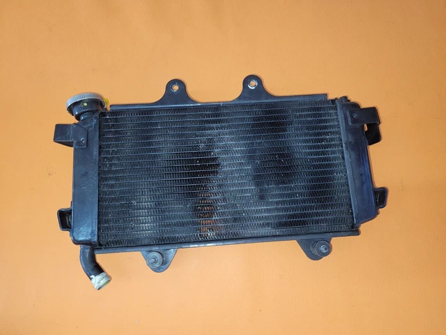 Radiatore KTM Duke 390 (EZ.22.03.2018)