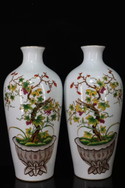 A Pair Chinese Enamel Porcelain HandPainted Exquisite Flowers&Plants Vase 14602