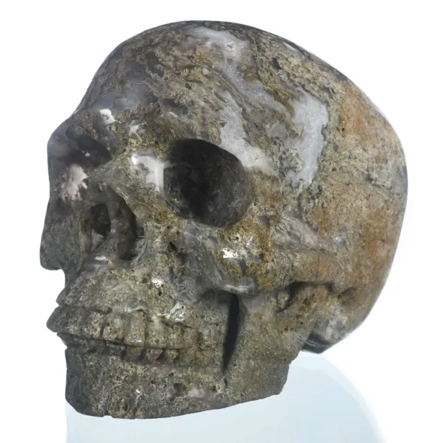 Coleccionables de cráneo humano ágata musgo natural de 6,3" curación metafílica #33N33
