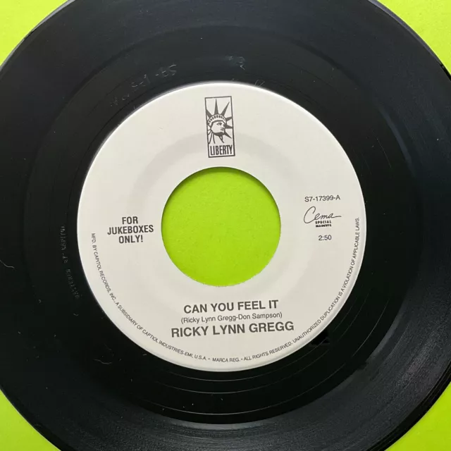 Ricky Lynn Gregg, Can You Feel It / Bring On The Neon, 7" 45rpm, Vinyl NM