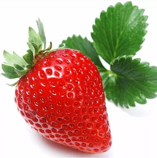 200 Red Sweet Strawberry Seeds Organic Fruit S007