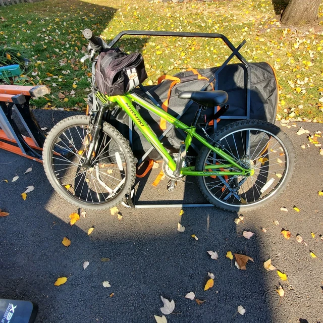 nishiki youth mountain bike