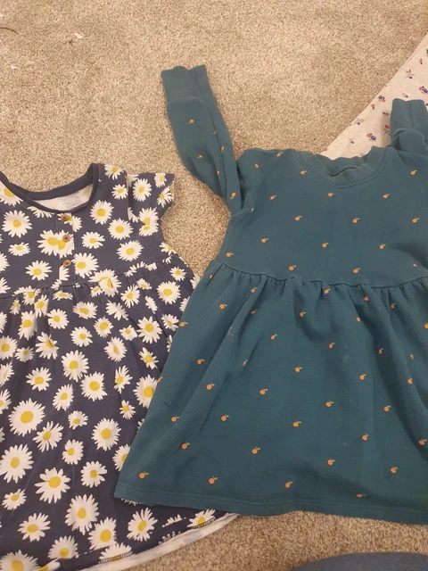 Girls Toddler Clothes Bundle Age 2-3 dresses tops bottoms 13 items 4