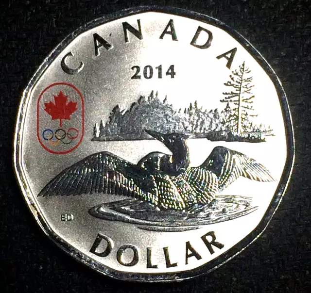 Canada Winter Sochi Olympic Lucky Loonie $1 Silver Colored Rare Coin, 2014