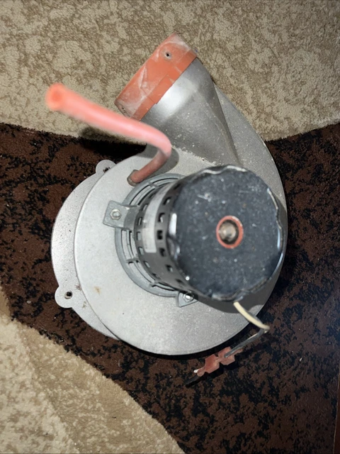 Gruppo Motore Soffiatore Induttore FASCO 7121-11559E 70-10187-01 115V - Foto 7