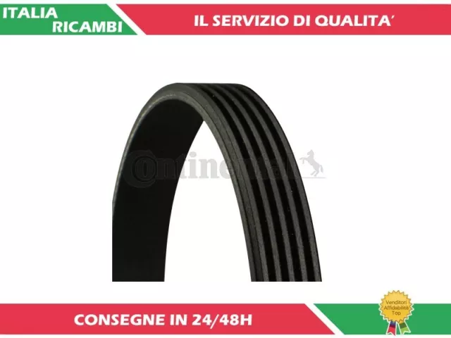 1 Cinghia Poly-V Contitech 5Pk1110