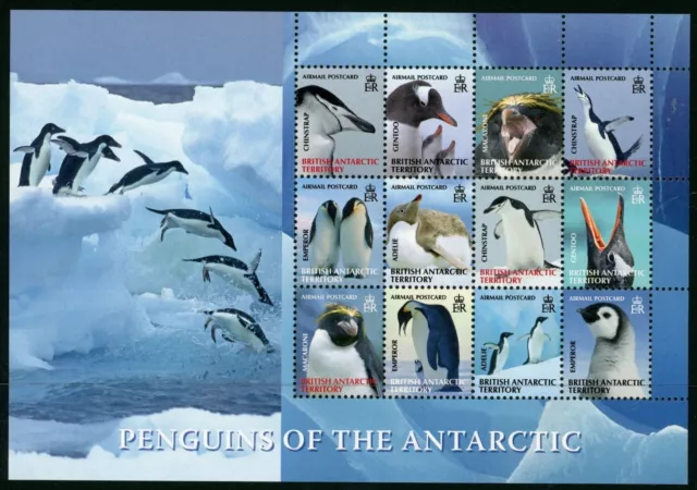 British Antarctic Territory  2008  Penguins Airmail  Set Of 12  Sg.474/85  Mnh