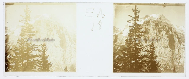 Montagne France Suisse Photo Stereo PL59L1n26 Plaque de verre Vintage c1910