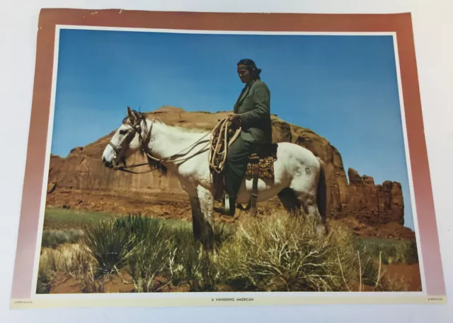 1950's Lithograph Poster/Print ~ American Disappearance Native ~14x18