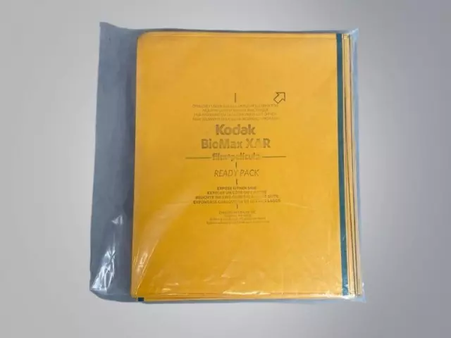 Kodak BioMax XAR Film 8 in. W x 10 in. L Total of 25 Sheets