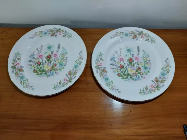 Pair Of Aynsley Wild Tudor 8.25" Plates - Fine Bone China - England