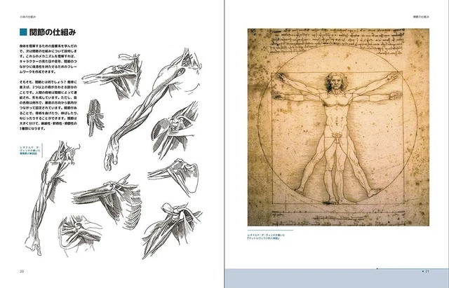 HOW TO DRAW Human Anatomy Visual Reference for Artists Art Book ...