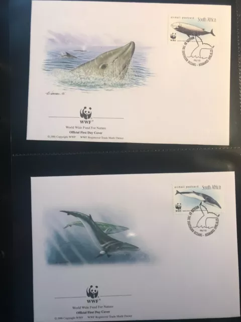 Südafrika 1998 Satz WWF Wale illustrierte Ersttagsbriefe