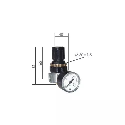 Mini Régulateur de Pression Réducteur Détendeur Pneumatique G 1/8 " 1/4 " -