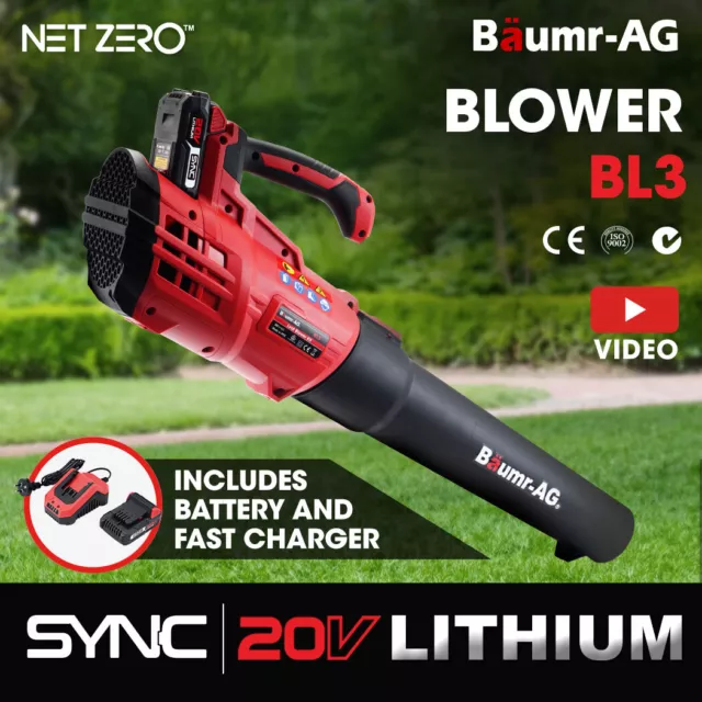 https://www.picclickimg.com/khMAAOSwz49iHqfx/BAUMR-AG-20V-Lithium-Cordless-Leaf-Blower-Electric-Hand-held.webp