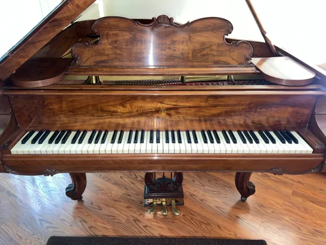 1906 Steinway & Son's Louis XV Grand Piano