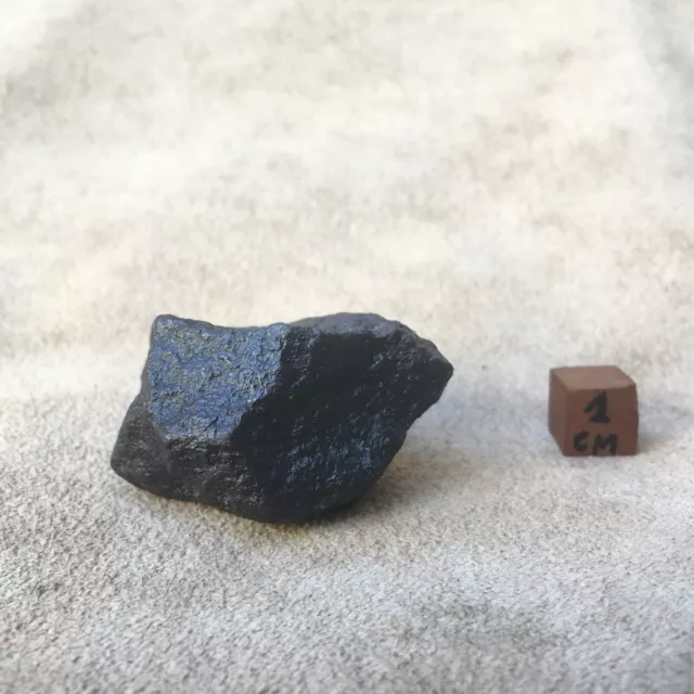 Meteorite Nwa Chondrite Maroc / Sahara / 85 Grammes / 2019