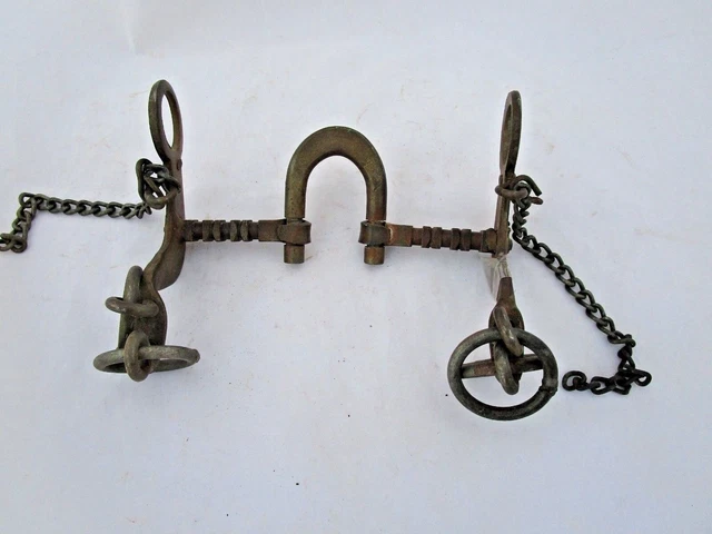 Sculpture de cheval rampant avec selle et rênes décorée en laiton (petit