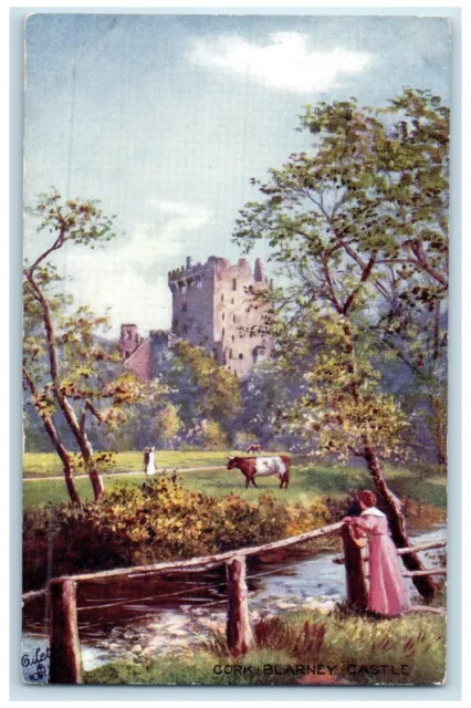 c1910 Blarney Castle Cork Ireland Antique Oilette Tuck Art Postcard
