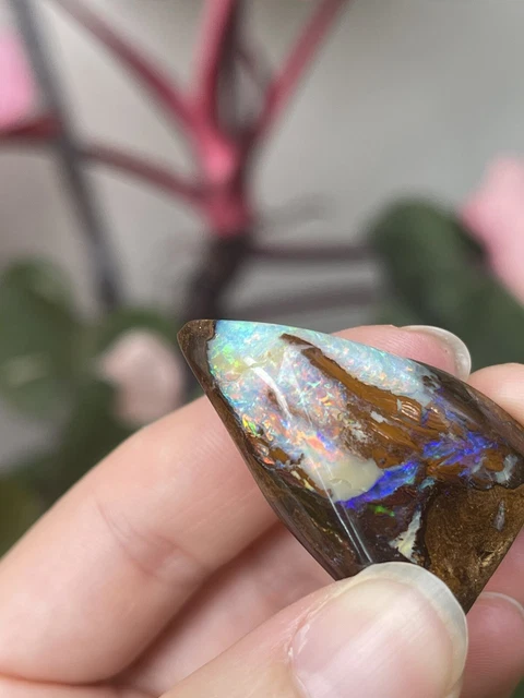 World Class Rare 71 ct Koroit Boulder Opal Crystal Specimen Australia